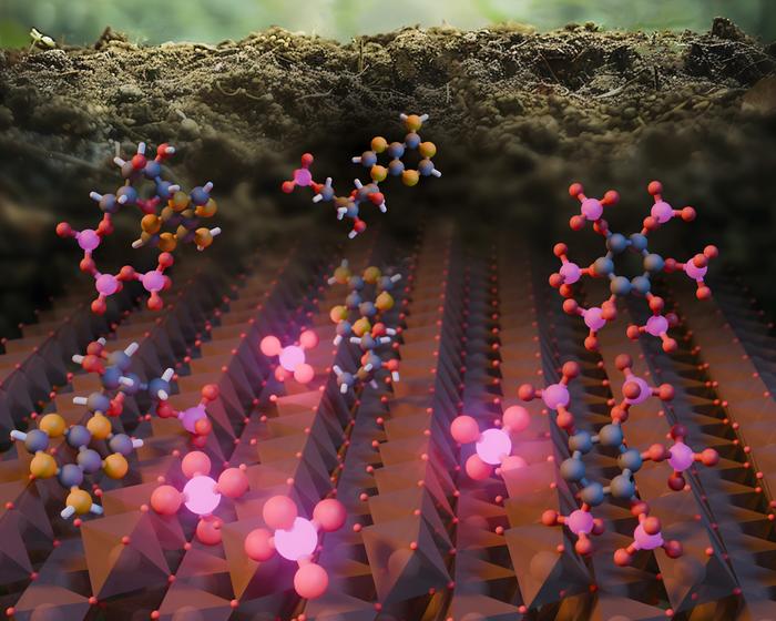 Illustration of phosphorus cleavage from different biomolecules on the surface of natural iron oxide particles illustr Aristilde Research Group Northwestern University