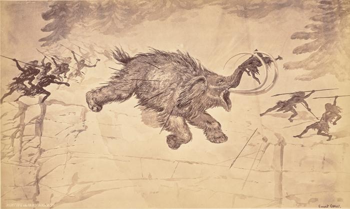 Prehistoric humans hunt a woolly mammoth. More and more research shows that this species – and at least 46 other species of megaherbivores – were driven to extinction by humans. CREDIT Engraving by Ernest Grise, photographed by William Henry Jackson. Courtesy Getty's Open Content Program USAGE RESTRICTIONS No restrictions.