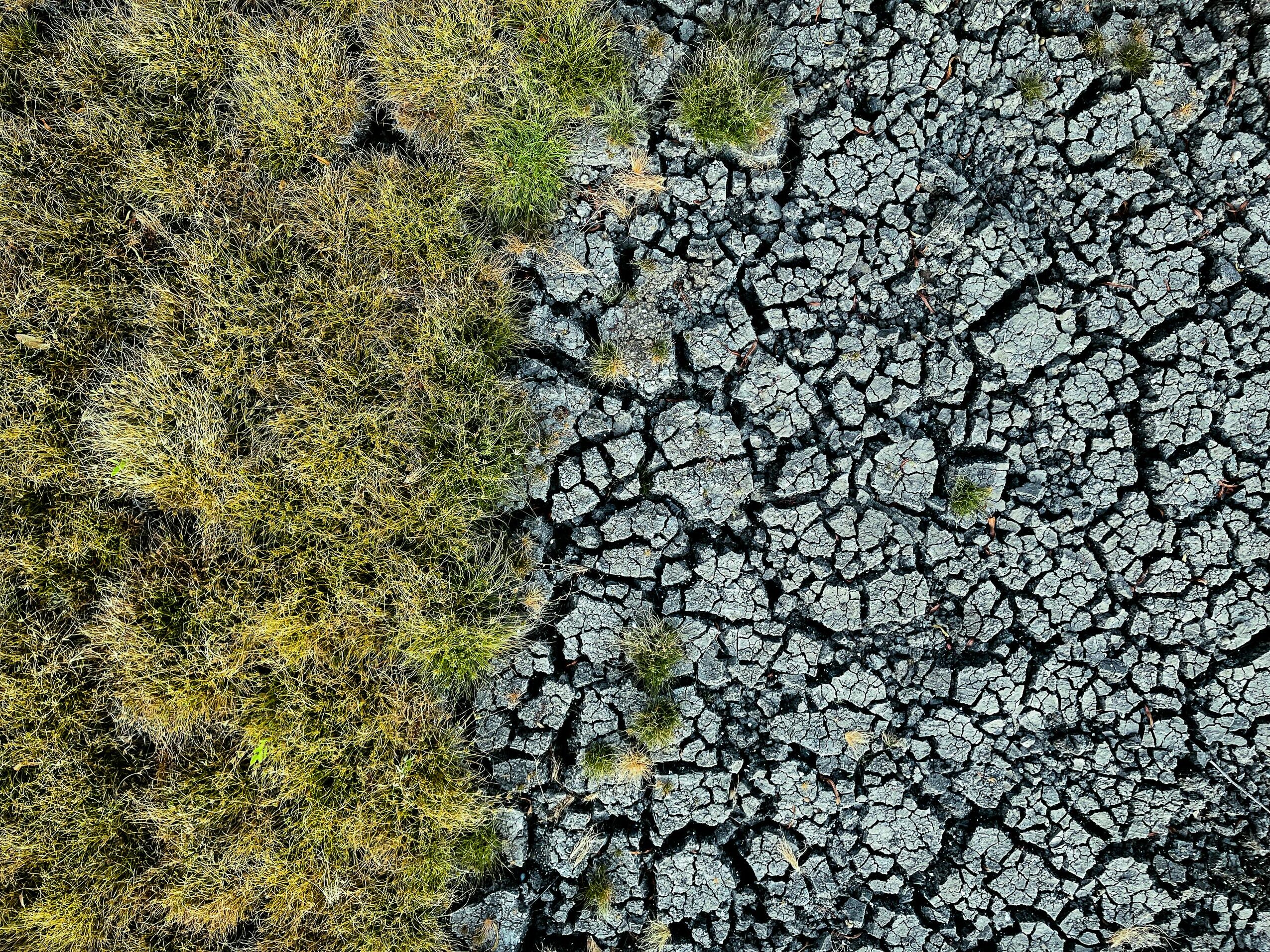 Photo by Jeff Stapleton: https://www.pexels.com/photo/cracked-dry-ground-13099032/